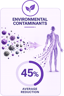 Environmental contaminants infographic
