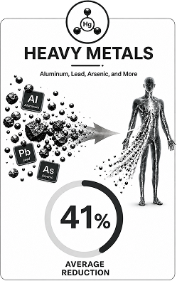Heavy metals infographic