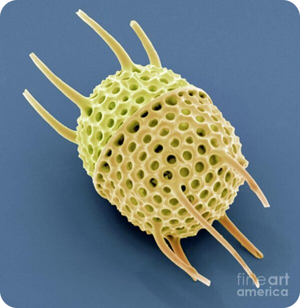 Description of image