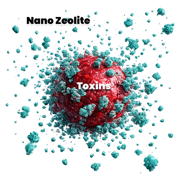 Nano Zeolite binding to toxins