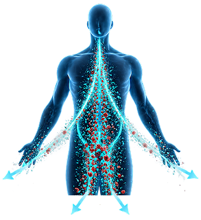 Toxins flushed from the body