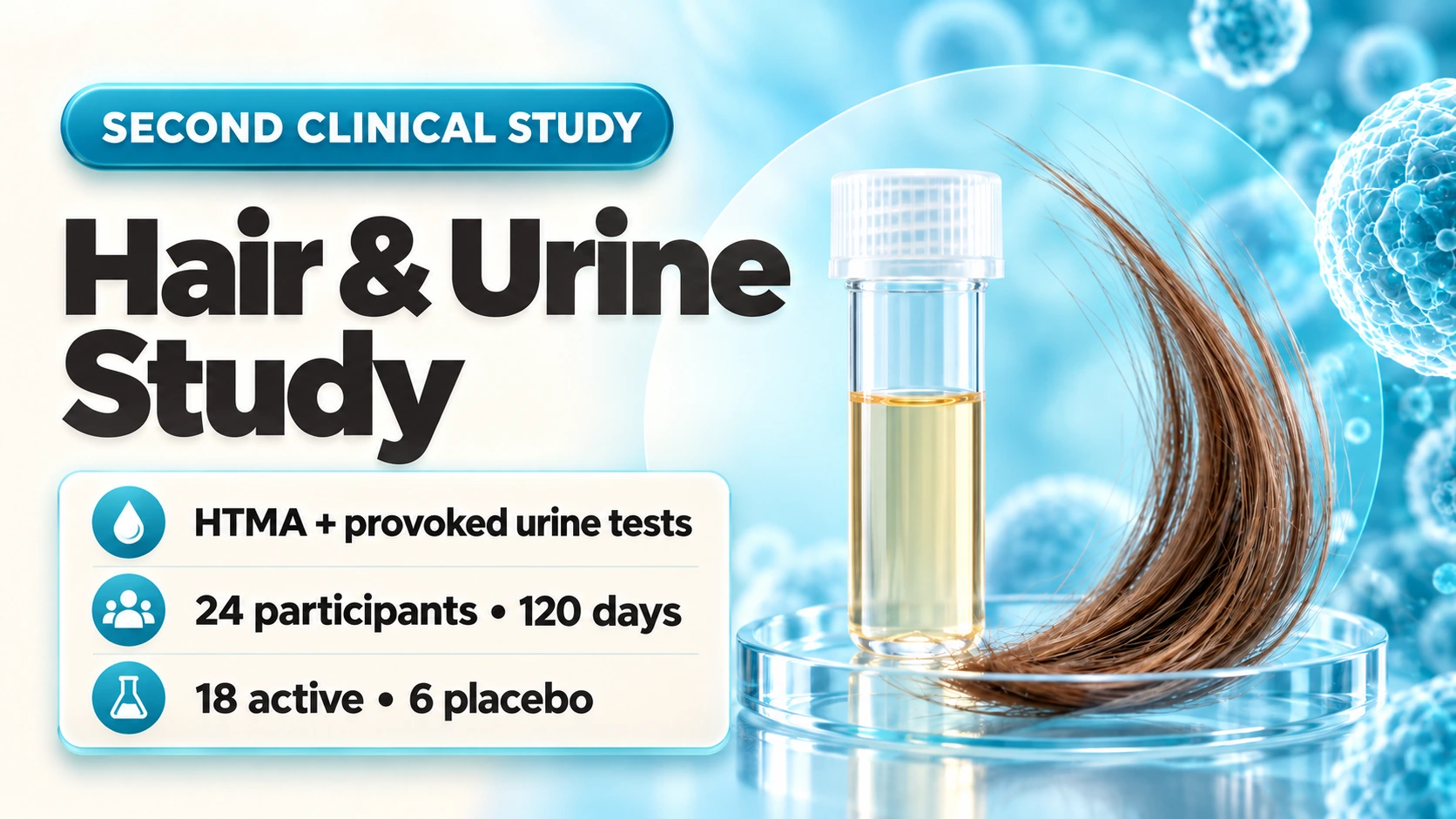 Second clinical study — HTMA and provoked urine tests, 24 participants, 18 active and 6 placebo, 120 days